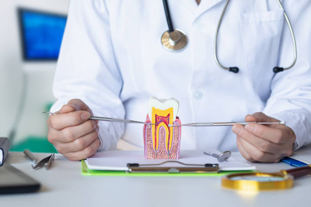 Best Emergency Dental Care for Broken or Chipped Teeth in Northfield, KY